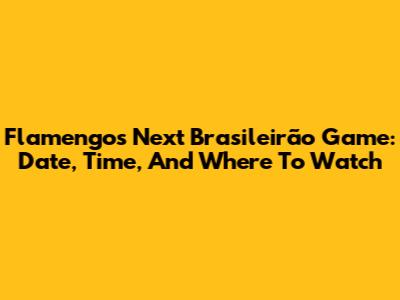 Flamengo's Next Brasileirão Game: Date, Time, And Where To Watch