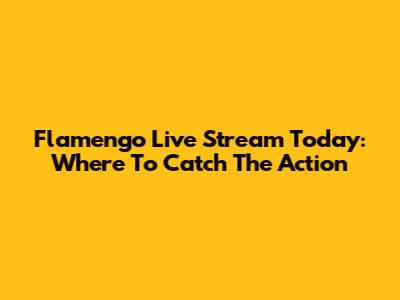 Flamengo Live Stream Today: Where To Catch The Action