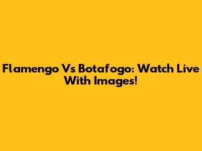 Flamengo Vs Botafogo: Watch Live With Images!