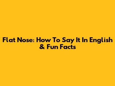Flat Nose: How To Say It In English & Fun Facts
