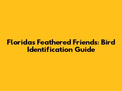 Florida's Feathered Friends: Bird Identification Guide