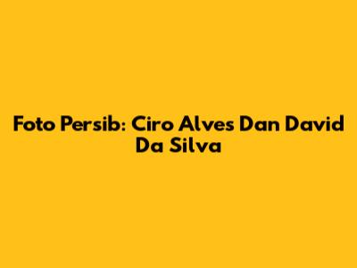 Foto Persib: Ciro Alves Dan David Da Silva