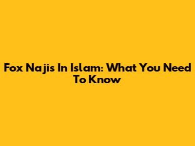 Fox Najis In Islam: What You Need To Know
