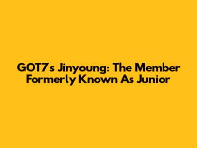 GOT7's Jinyoung: The Member Formerly Known As Junior