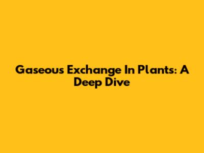 Gaseous Exchange In Plants: A Deep Dive