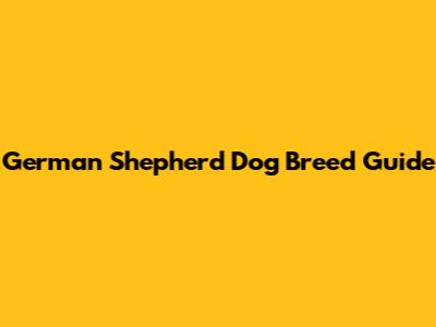 German Shepherd Dog Breed Guide