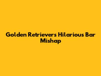 Golden Retriever's Hilarious Bar Mishap