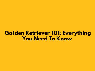 Golden Retriever 101: Everything You Need To Know