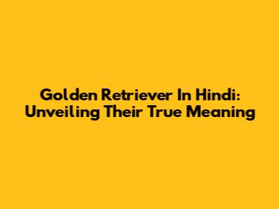 Golden Retriever In Hindi: Unveiling Their True Meaning