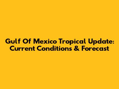 Gulf Of Mexico Tropical Update: Current Conditions & Forecast