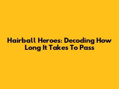 Hairball Heroes: Decoding How Long It Takes To Pass