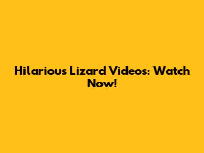 Hilarious Lizard Videos: Watch Now!