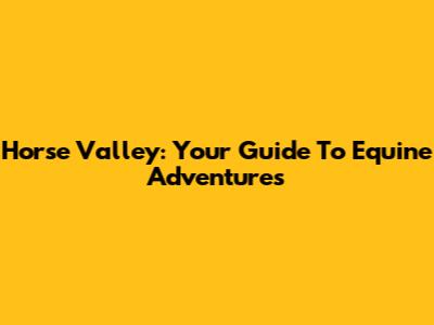 Horse Valley: Your Guide To Equine Adventures