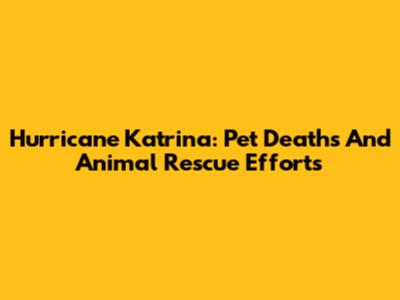 Hurricane Katrina: Pet Deaths And Animal Rescue Efforts