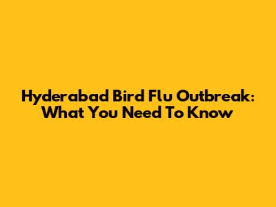 Hyderabad Bird Flu Outbreak: What You Need To Know