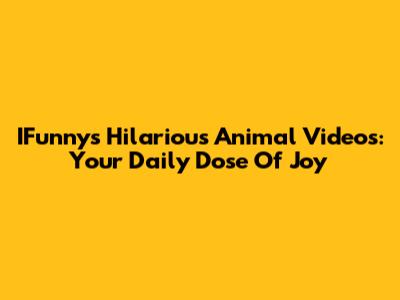 IFunny's Hilarious Animal Videos: Your Daily Dose Of Joy