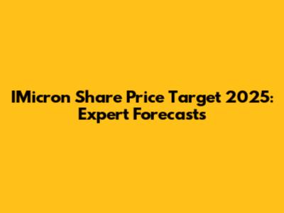 IMicron Share Price Target 2025: Expert Forecasts