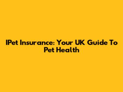 IPet Insurance: Your UK Guide To Pet Health