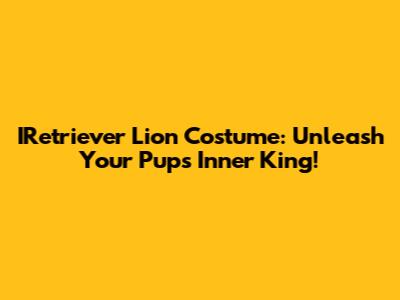 IRetriever Lion Costume: Unleash Your Pup's Inner King!