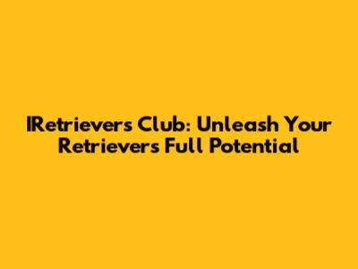 IRetrievers Club: Unleash Your Retriever's Full Potential