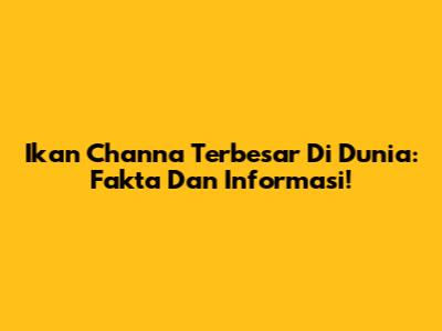 Ikan Channa Terbesar Di Dunia: Fakta Dan Informasi!