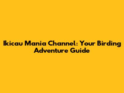 Ikicau Mania Channel: Your Birding Adventure Guide