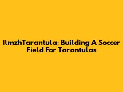 IlmzhTarantula: Building A Soccer Field For Tarantulas