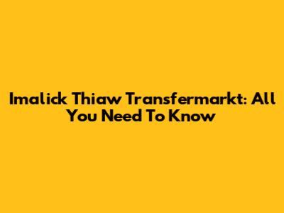 Imalick Thiaw Transfermarkt: All You Need To Know