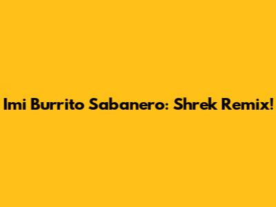 Imi Burrito Sabanero: Shrek Remix!
