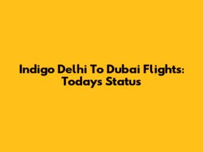Indigo Delhi To Dubai Flights: Today's Status