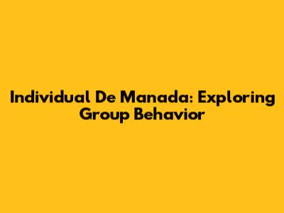 Individual De Manada: Exploring Group Behavior