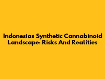 Indonesia's Synthetic Cannabinoid Landscape: Risks And Realities