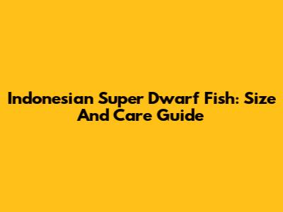 Indonesian Super Dwarf Fish: Size And Care Guide