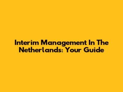 Interim Management In The Netherlands: Your Guide