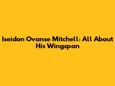 Iseidon Ovanse Mitchell: All About His Wingspan