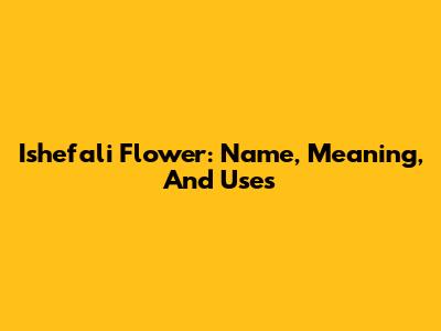 Ishefali Flower: Name, Meaning, And Uses