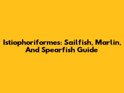 Istiophoriformes: Sailfish, Marlin, And Spearfish Guide
