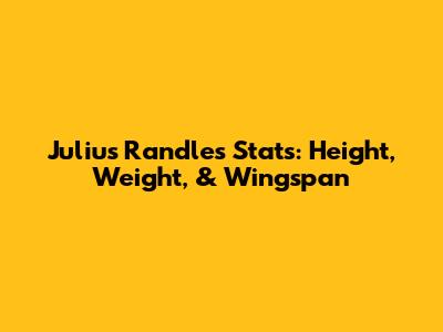 Julius Randle's Stats: Height, Weight, & Wingspan