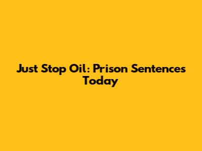 Just Stop Oil: Prison Sentences Today