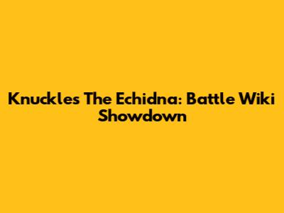 Knuckles The Echidna: Battle Wiki Showdown