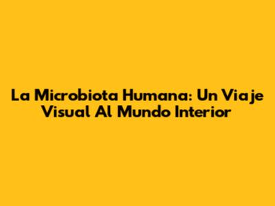La Microbiota Humana: Un Viaje Visual Al Mundo Interior