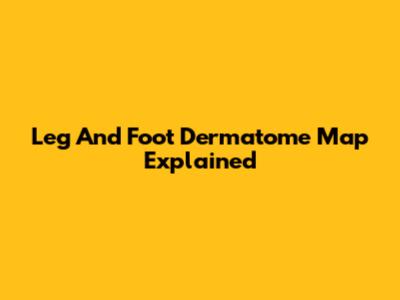 Leg And Foot Dermatome Map Explained