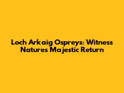 Loch Arkaig Ospreys: Witness Nature's Majestic Return
