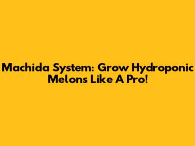 Machida System: Grow Hydroponic Melons Like A Pro!