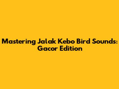 Mastering Jalak Kebo Bird Sounds: Gacor Edition