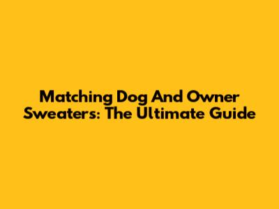 Matching Dog And Owner Sweaters: The Ultimate Guide