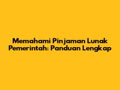 Memahami Pinjaman Lunak Pemerintah: Panduan Lengkap