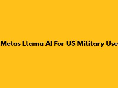 Meta's Llama AI For US Military Use