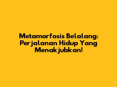Metamorfosis Belalang: Perjalanan Hidup Yang Menakjubkan!