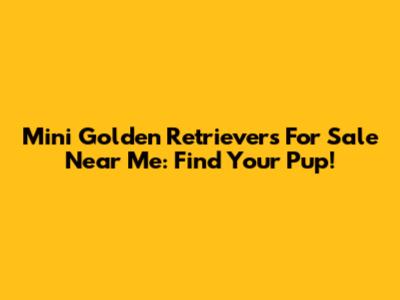 Mini Golden Retrievers For Sale Near Me: Find Your Pup!
